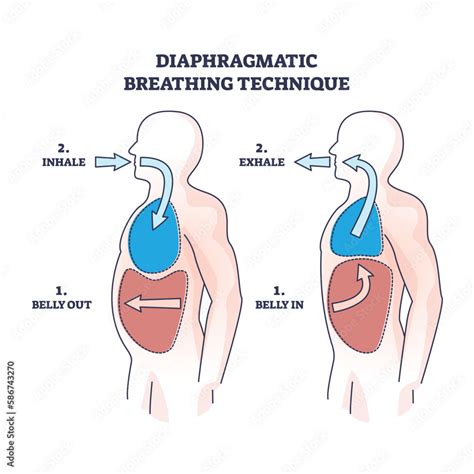 The Effect of Diaphragmatic Breathing on Attention, … - balustradellc