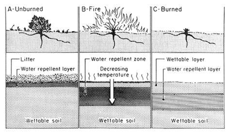 THE EFFECT OF FIRE ON SOIL PROPERTIES - raincitystudios.com