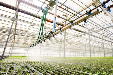 The effect of smart fertigation systems on chilli grown in a greenhouse ... - raincitystudios.com