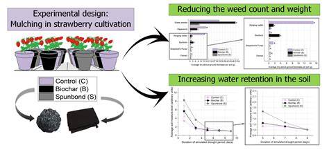 The Effectiveness of Biochar as a Mulch for Weed Control and Soil ... - raincitystudios.com