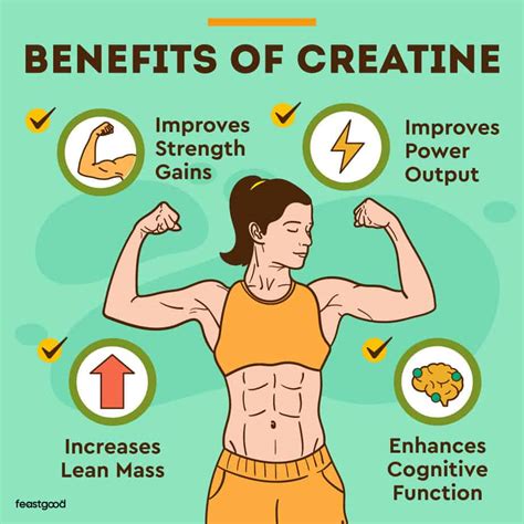 The effects and benefits of creatine supplementation on … - balustradellc
