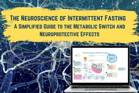 The Effects of Intermittent Fasting on Brain and … - balustradellc