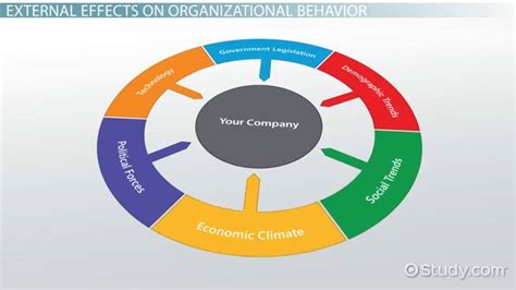 THE EFFECTS OF ORGANIZATIONAL FACTORS ON.