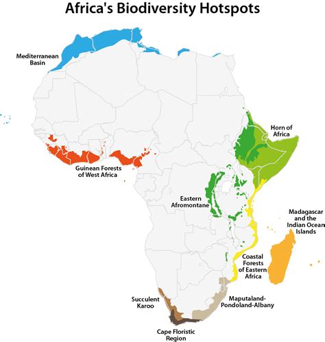 The Eight Biodiversity Hotspots Of Africa - WorldAtlas - raincitystudios.com