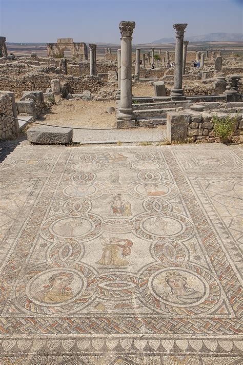 The Enduring Power of Roman Floors - The Culture … - wintechmobiles.com