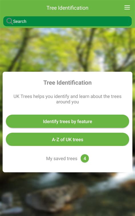 THE ENGLISH TREE APK Download for Android 