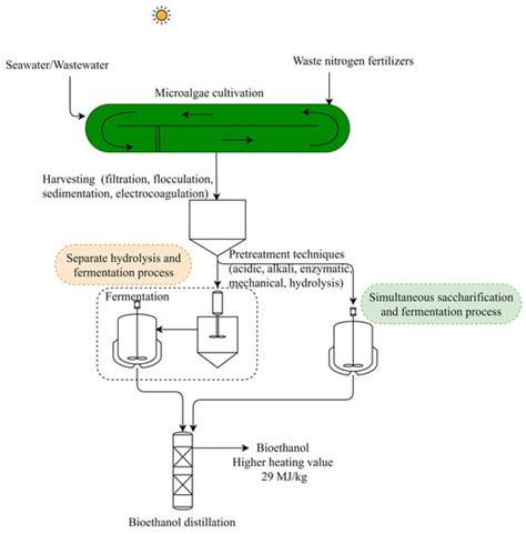 The Entangled-Biofuel-Fertilizer Nexus — Heart of the Algorithm - balustradellc