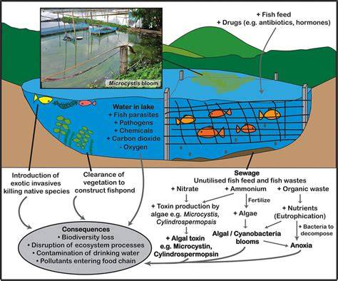 The Environmental Impact of Fish Farming and the Fish … - raincitystudios.com