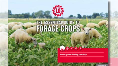 THE ESSENTIAL GUIDE TO FORAGE CROPS - LG Seeds - raincitystudios.com