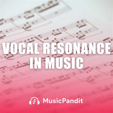 The Essential Guide to Understanding Vocal Resonance - muktibox.com