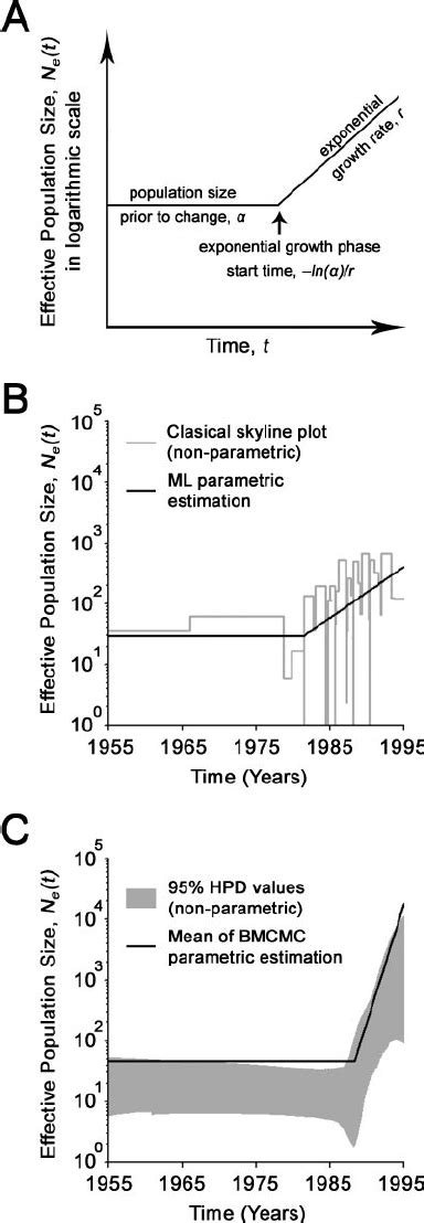 The estimation of demographic parameters and a growth model for ... - raincitystudios.com