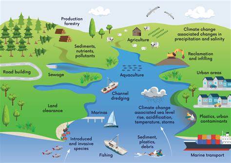 The Estuarine Ecosystem: Ecology, Threats and … - raincitystudios.com