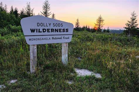 The Ethics of Wilderness: A Guide to Preservation - raincitystudios.com