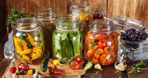 The Evolution and History of Food Fermentations - wintechmobiles.com