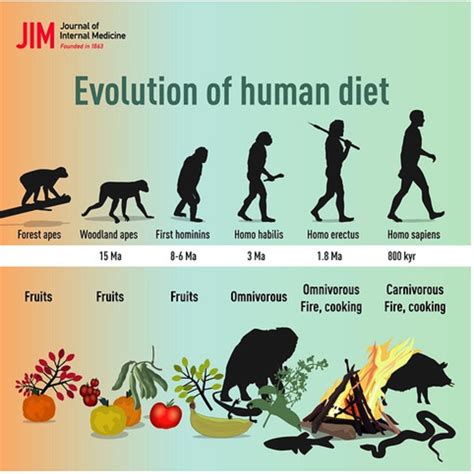 The Evolution of Diet - National Geographic - wintechmobiles.com