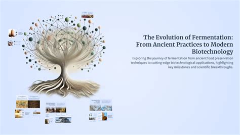 The Evolution of Fermentation: From Ancient Practices to Modern … - wintechmobiles.com
