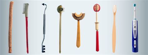 The Evolution Of The Dental Hygiene Profession - GoTu - wintechmobiles.com