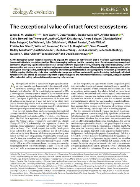 The exceptional value of intact forest ecosystems - Nature - raincitystudios.com