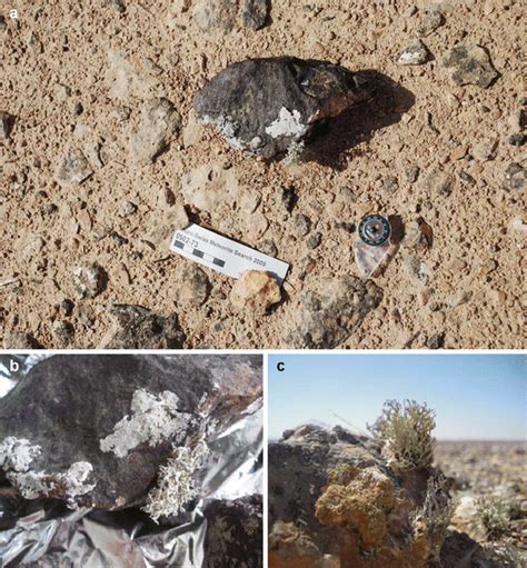 The Extreme Biology of Meteorites: Their Role in ... - Springer - wintechmobiles.com