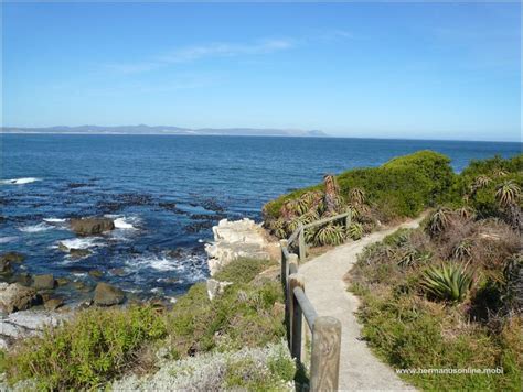 The famous Hermanus Cliff Path | Hermanus Online … - balustradellc