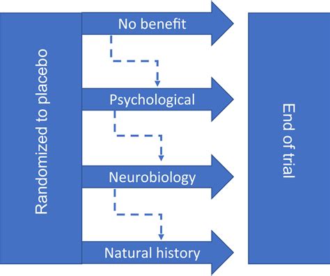 The Fascinating Mechanisms and Implications of the Placebo Effect - balustradellc