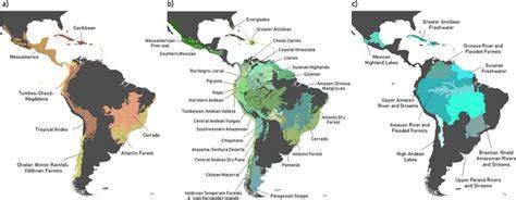 The Five Biodiversity Hotspots of South America - WorldAtlas - raincitystudios.com
