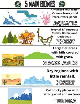 The Five Major Types of Biomes - Education - muktibox.com