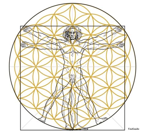 The Flower of Life: An Ancient Symbol of Unity and … - balustradellc