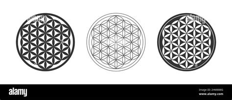 The Flower of Life: An Ancient Symbol of Unity and Creation - balustradellc