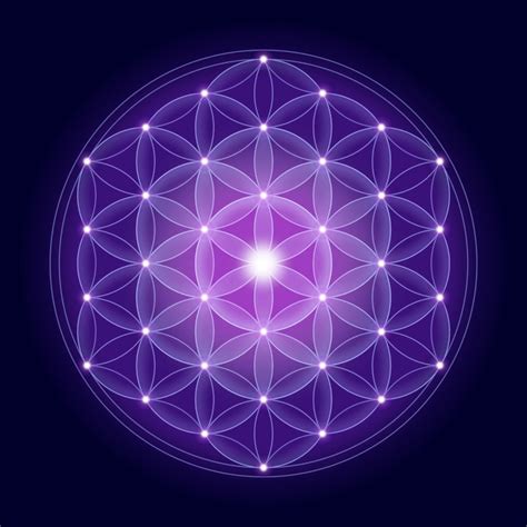 The Flower of Life: Exploring Its Sacred Geometry and Mystical ... - balustradellc