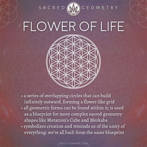 The Flower Of Life: Sacred Geometry Explained - balustradellc