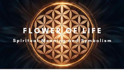 The Flower of Life Spiritual Meaning: Symbolism - balustradellc