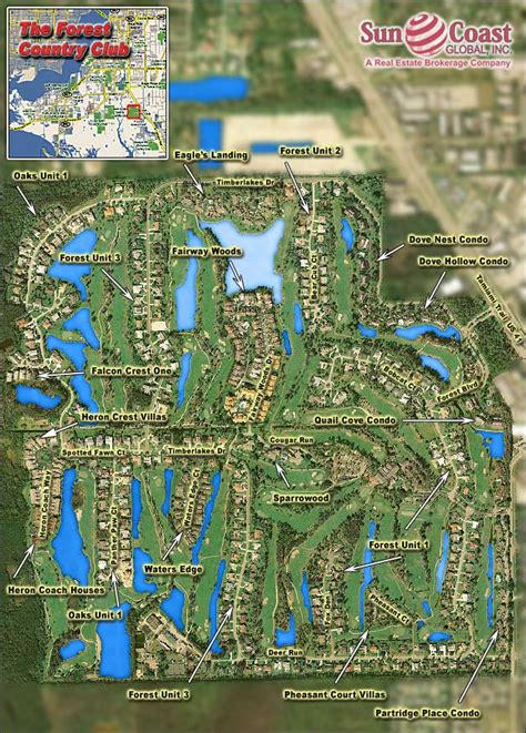 THE FOREST REAL ESTATE - FORT MYERS FLORIDA REAL ESTATE