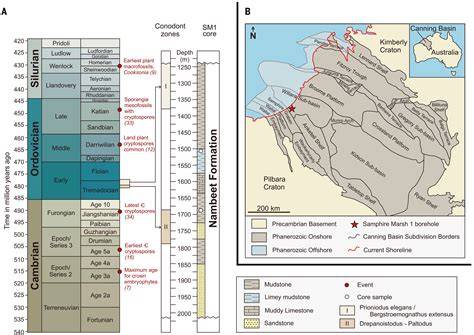 The Fossil Record, Function, and Possible Origins of Shell Color ... - raincitystudios.com