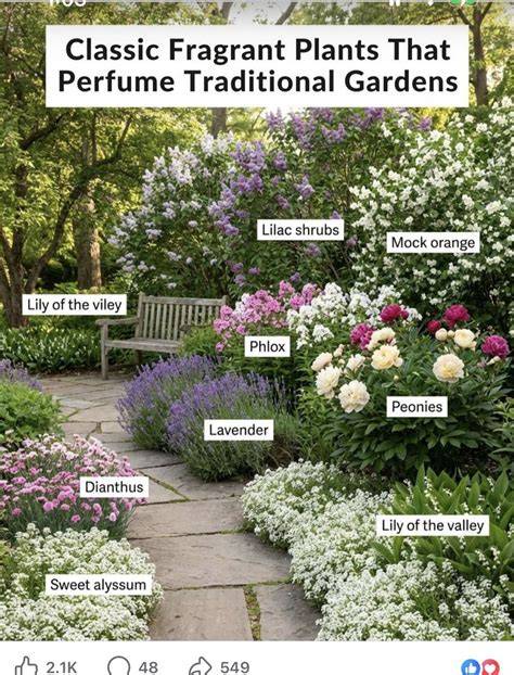 The Fragrant Garden - fragrance of California native … - raincitystudios.com