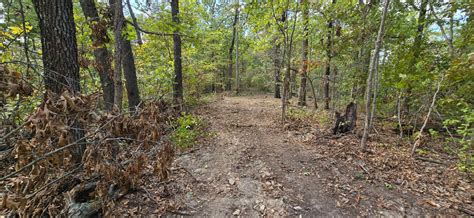 The fur trail - National Museum of Denmark - wintechmobiles.com