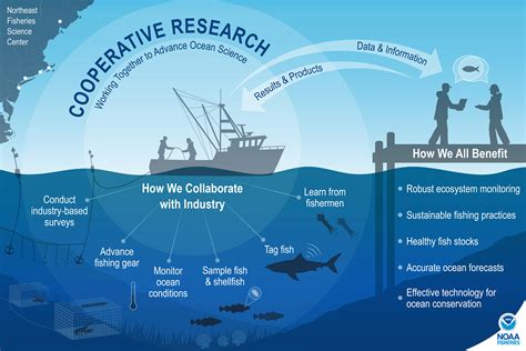 The future of marine fisheries management and conservation in the ... - raincitystudios.com