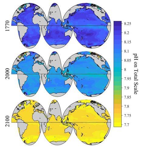 The Future of Ocean Acidification - NOAA Pacific … - raincitystudios.com