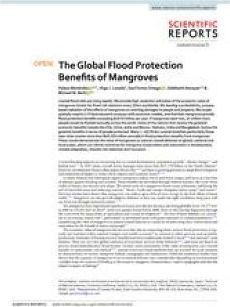 The Global Flood Protection Benefits of Mangroves - Nature - raincitystudios.com