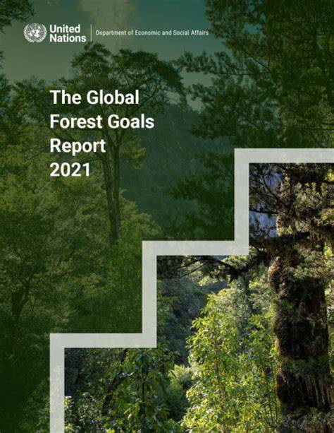 The Global Forest Goals Report 2021 - الأمم المتحدة - raincitystudios.com