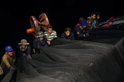 The Global Legislative Database | The Outlaw Ocean Toolkit | The … - balustradellc