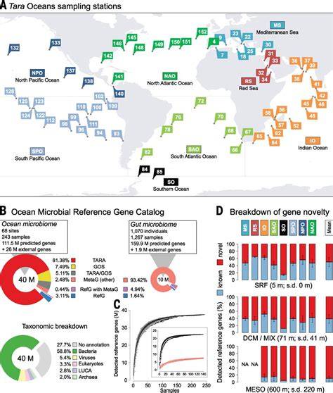 The global ocean microbiome | Science - raincitystudios.com