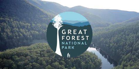 The Great Forest National Park - raincitystudios.com