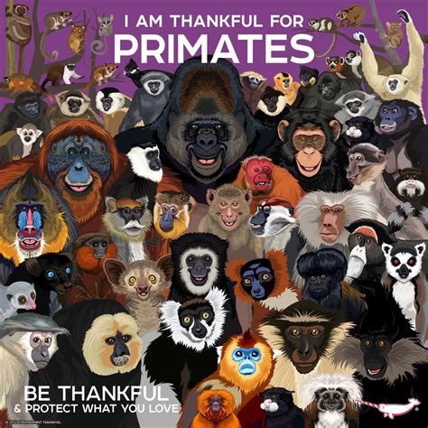 THE GREAT PRIMATES - GAP Project - raincitystudios.com