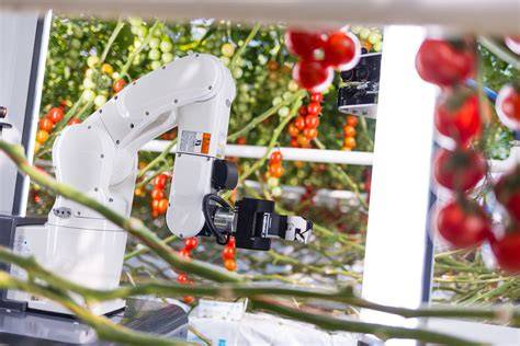 The Harvesting Robot | TTA-ISO | TTA-ISO - raincitystudios.com
