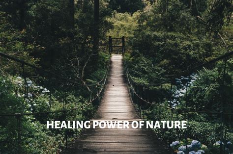 The Healing Power of Nature: How Spending Time … - balustradellc