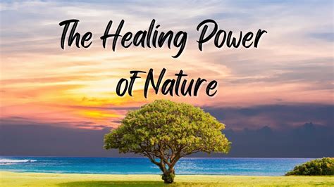 The Healing Power of Nature - TIME - balustradellc