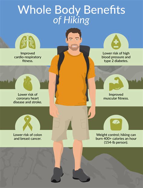 The Health Benefits of Hiking - Wildland Trekking - balustradellc