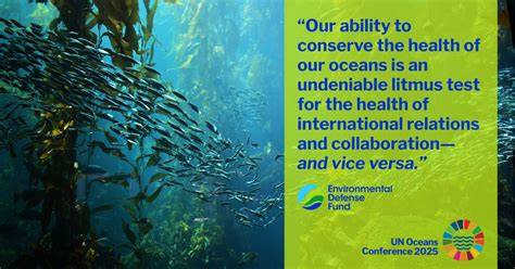 The health of our oceans starts on land. South Africans ... - raincitystudios.com