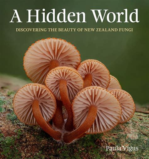 The hidden world of wood-decaying fungi - Nature Today - raincitystudios.com
